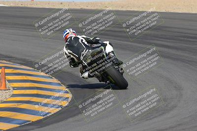 media/Feb-04-2023-SoCal Trackdays (Sat) [[8a776bf2c3]]/Turn 10 Backside (1010am)/